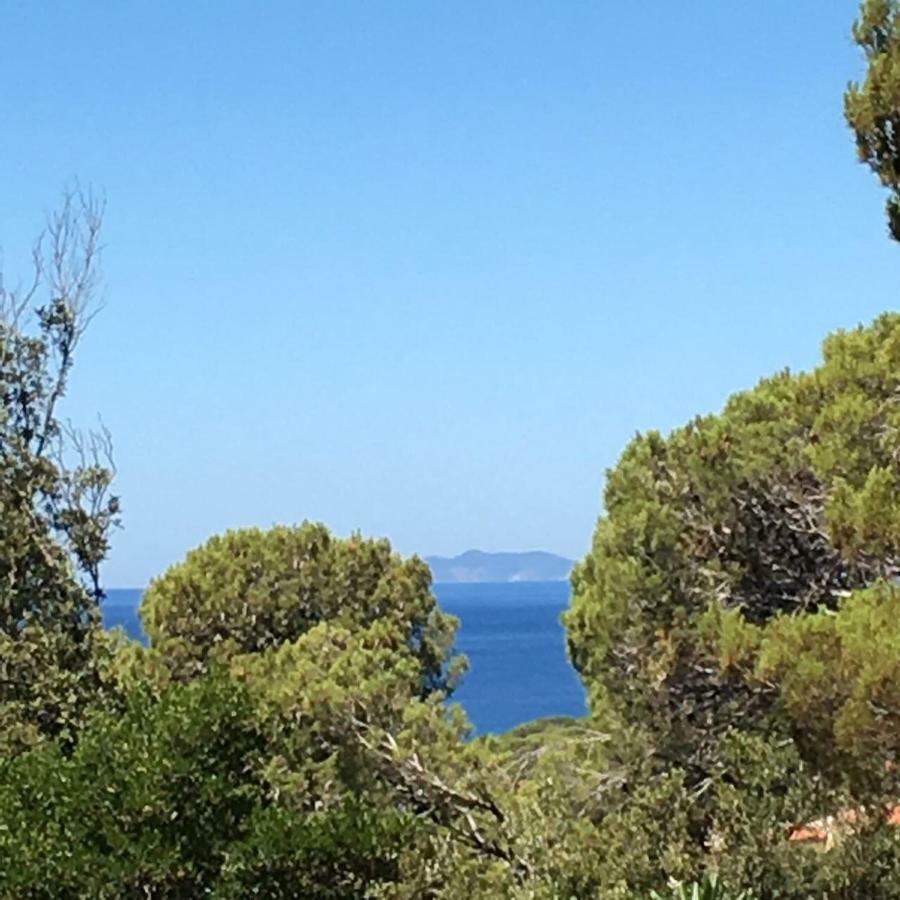 Casa Al Mare Livorno Διαμέρισμα Quercianella Εξωτερικό φωτογραφία